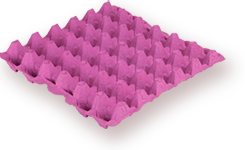 sag1