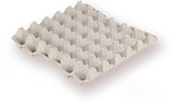 sag4